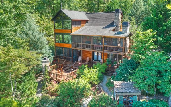 house in the middle of forest