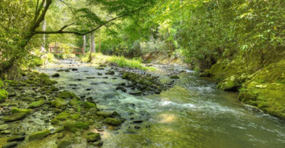 Blue Ridge River