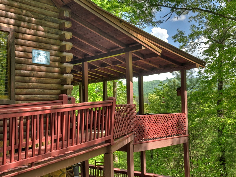 Cherry Log, GA Real Estate