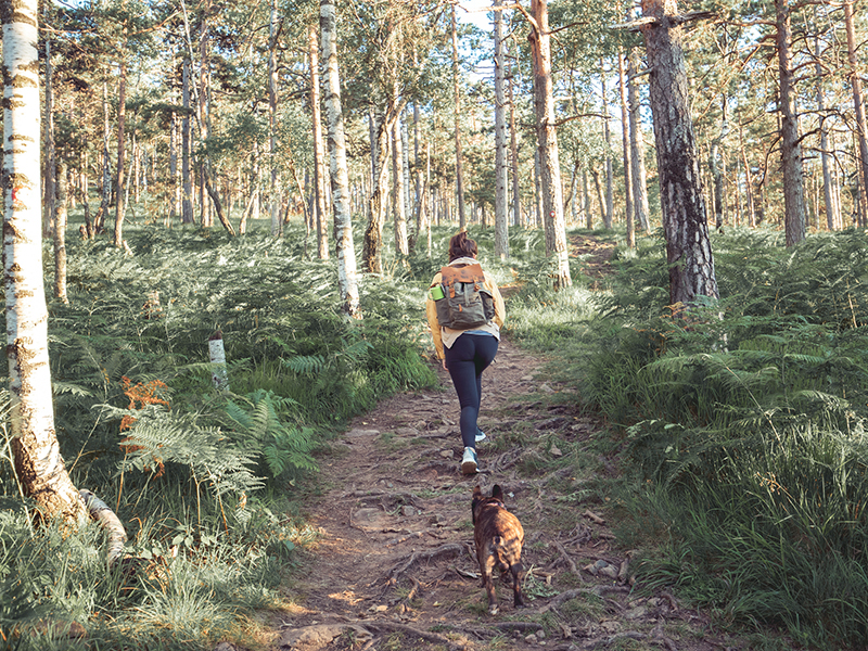 Cherry Log, GA: A Haven for Adventure and Relaxation