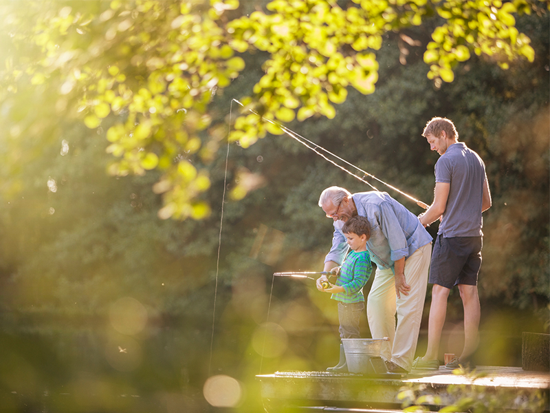 Cherry Log, GA: A Haven for Adventure and Relaxation
