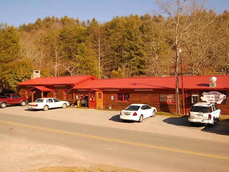 Cherry Log, GA: A Haven for Adventure and Relaxation