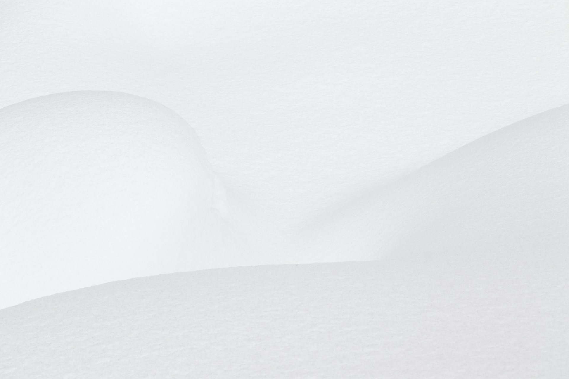 Fallback Image