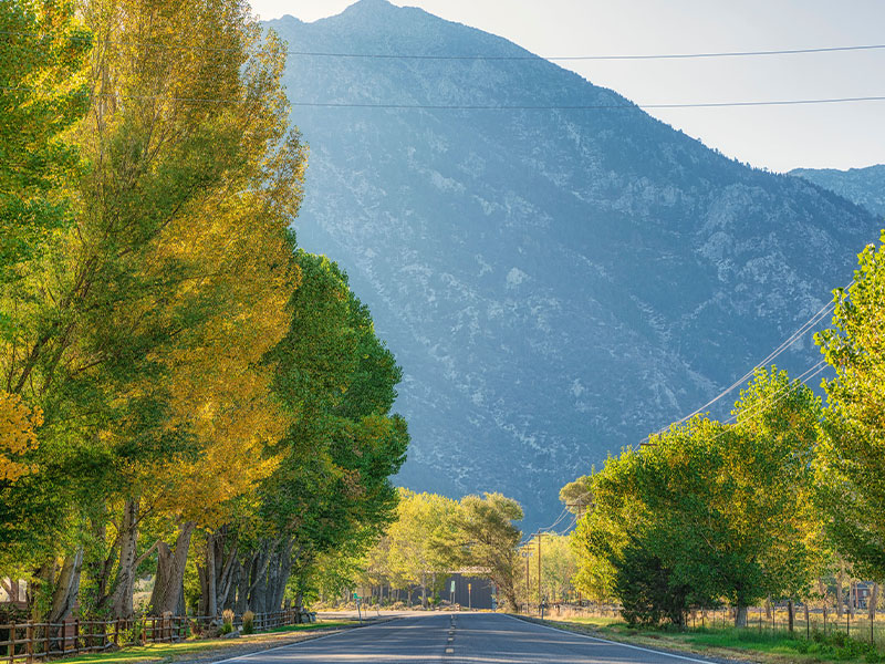 Featured Communites - Gardnerville / Minden