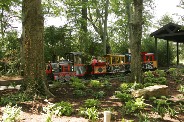 Things to do This Summer in Nashville (Family Edition)