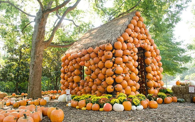The Ultimate Guide to Fall in Nashville