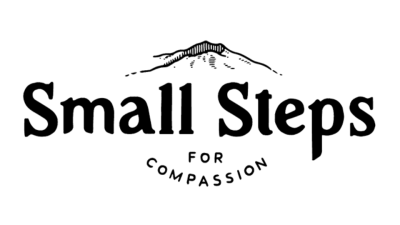 Small Steps