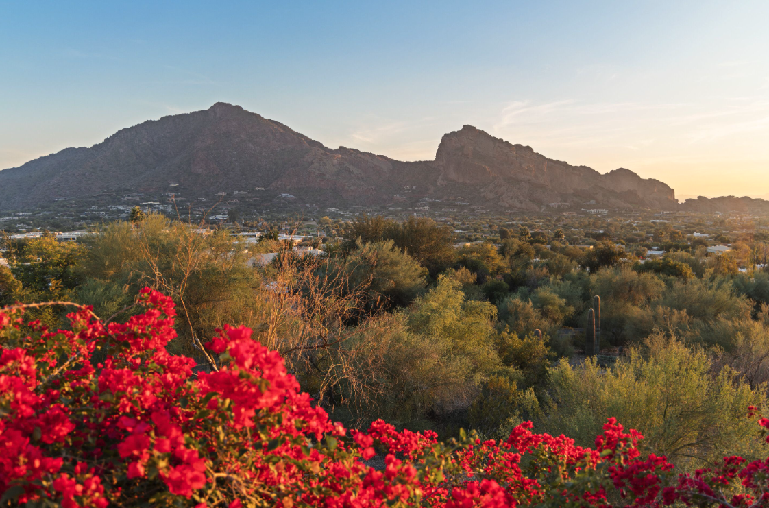 6900 N Mummy Mountain RD 29 Paradise Valley AZ 85253