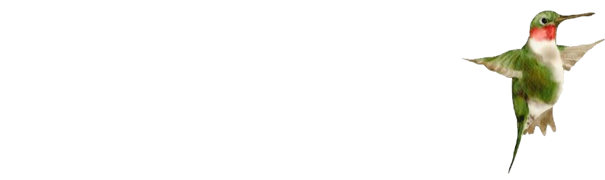 Tanis Team