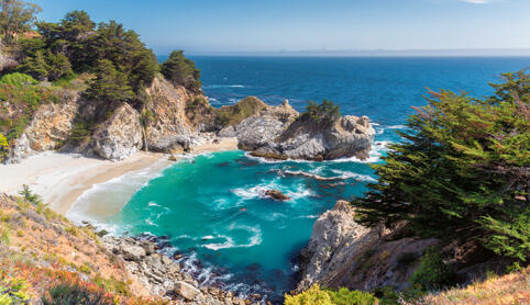 Western North America (WNAM)