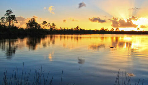 Western North America (WNAM)