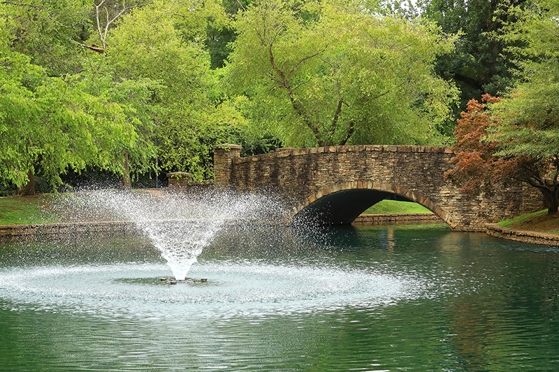 Beautiful Freedom Park