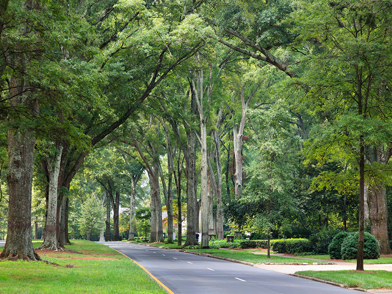 Myers Park, Charlotte
