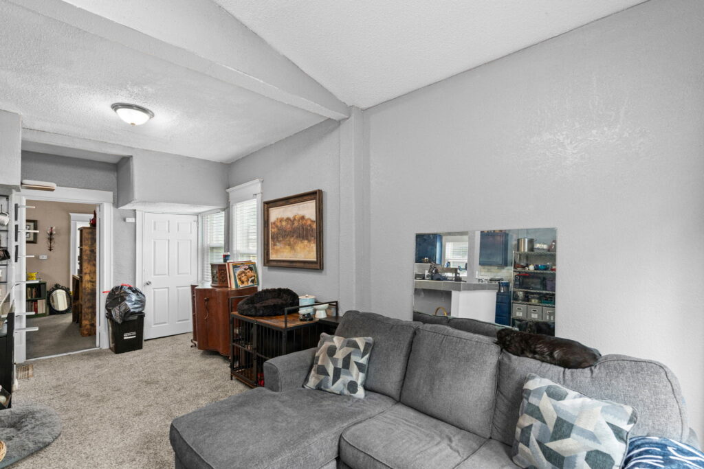 Living room with carpet and a ceiling light in a Kansas City, Missouri home