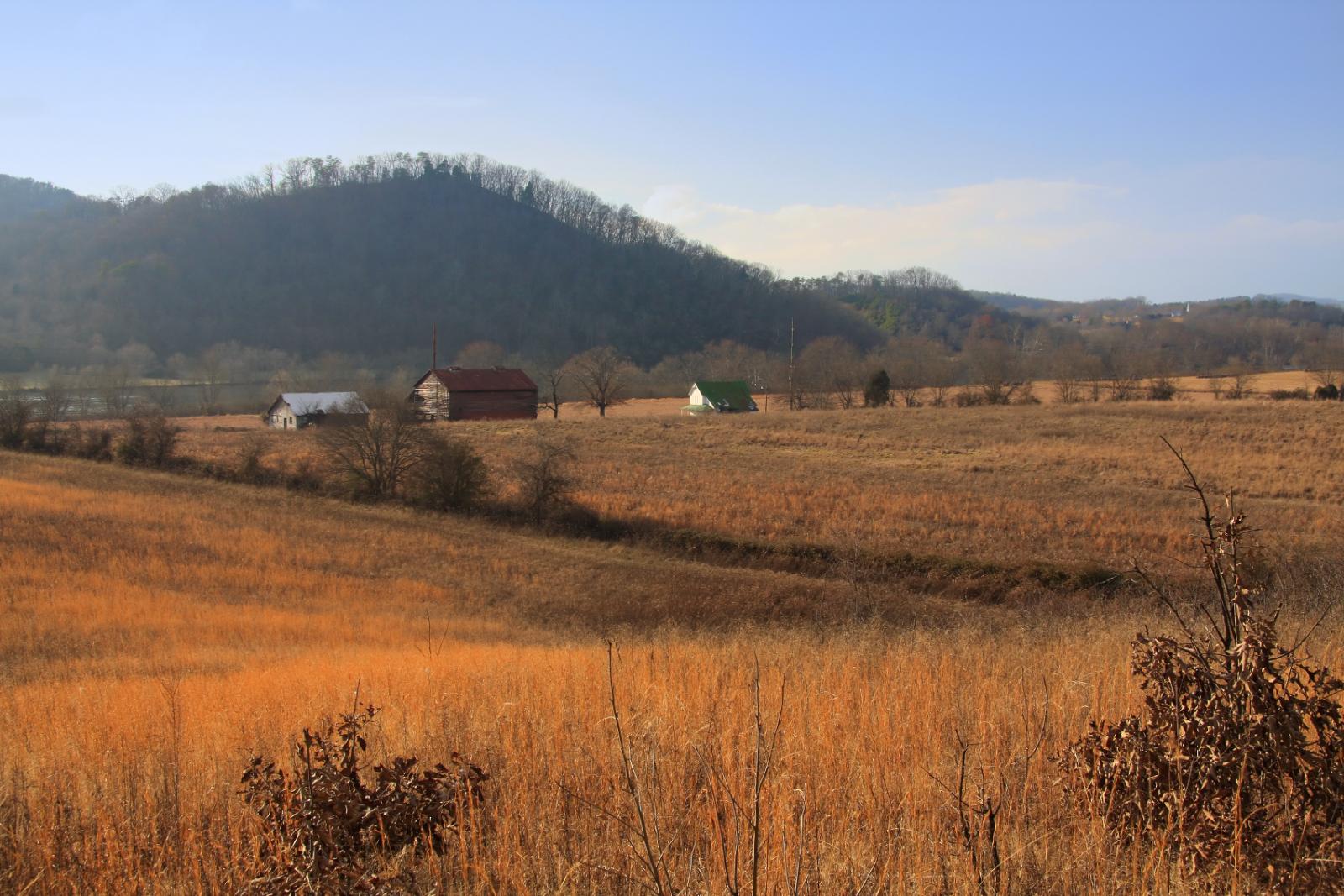 The Farm