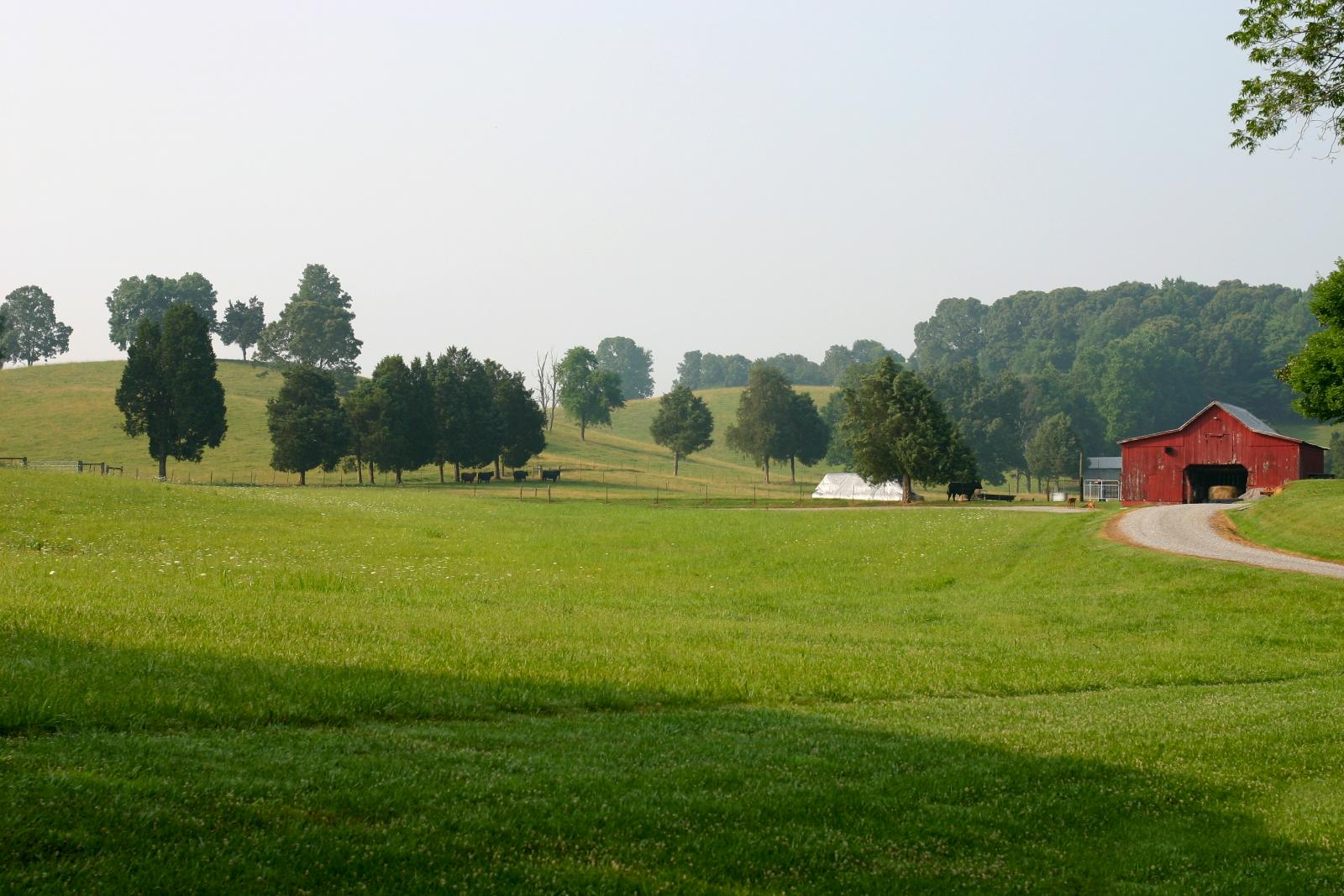Magnolia Farms