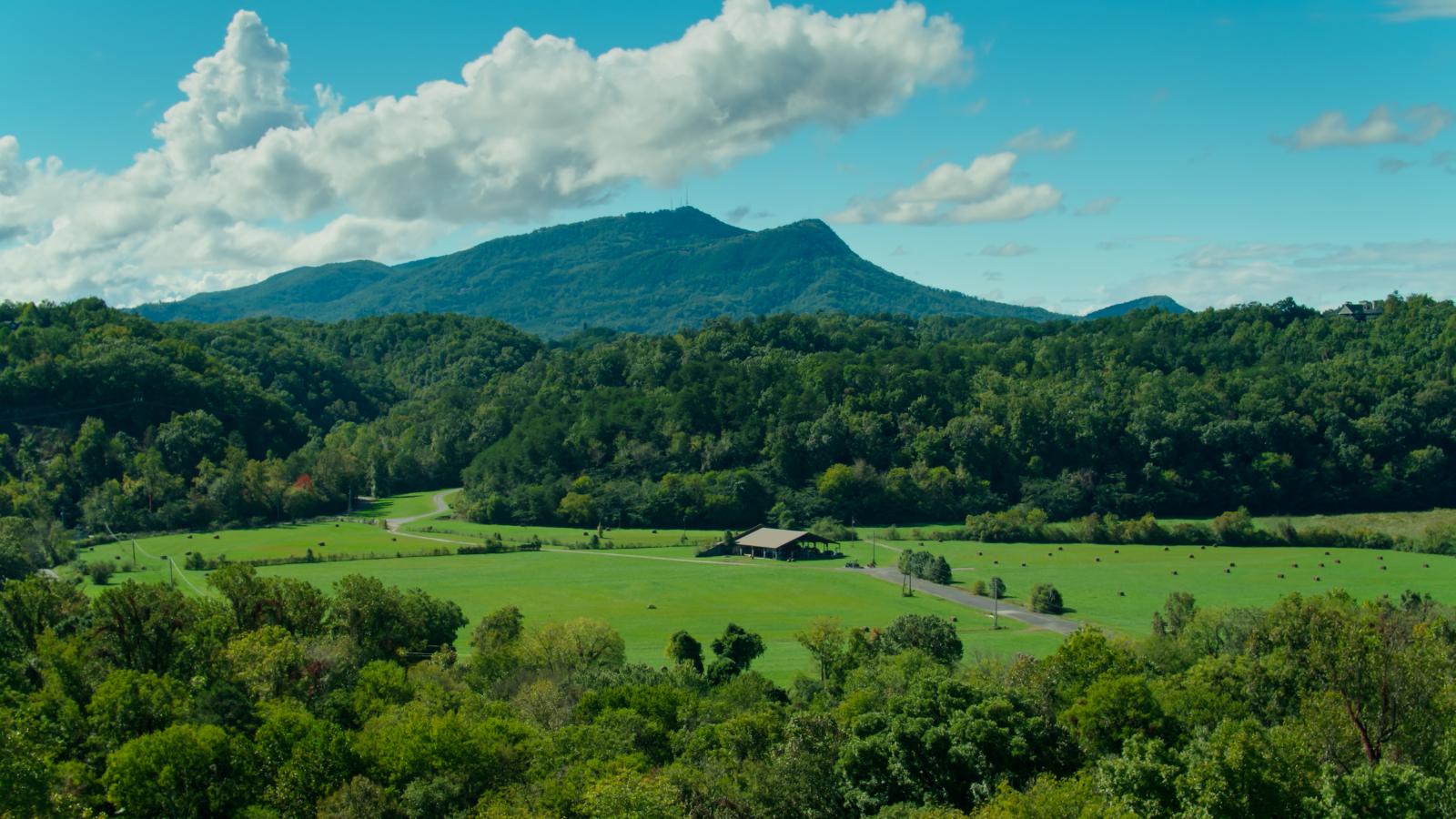 The Retreats at White Oak