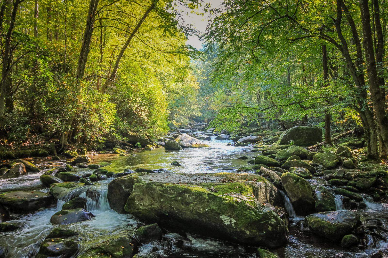Crystal Brook