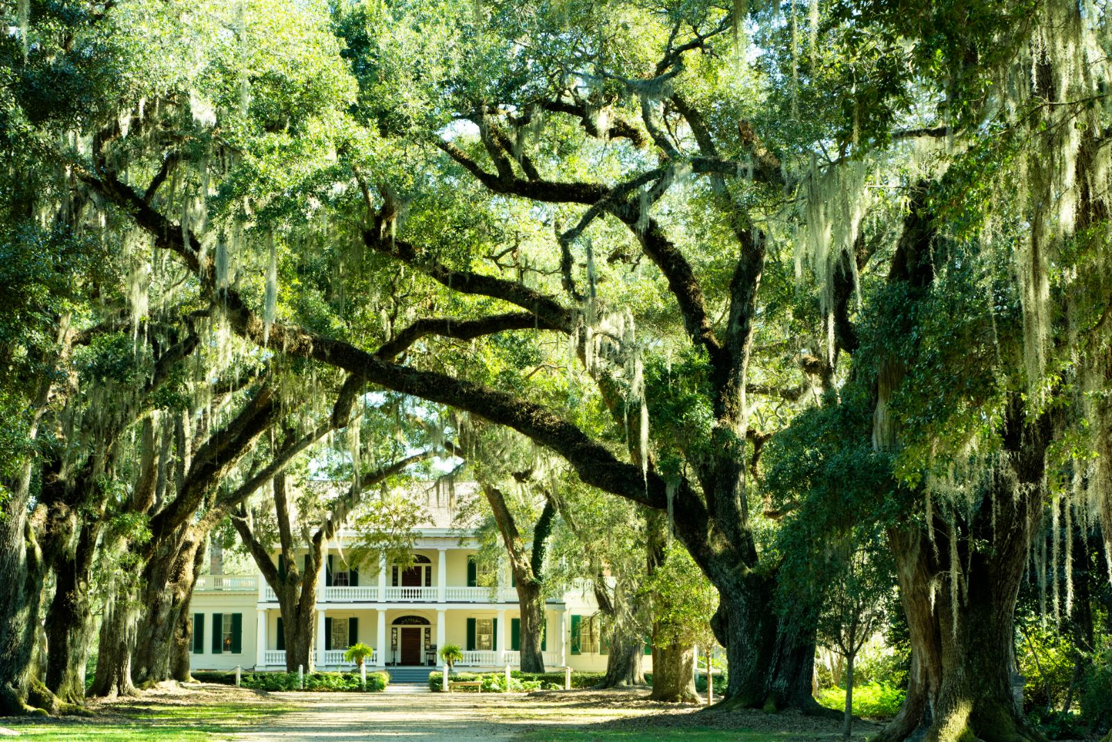 White Oak Plantation