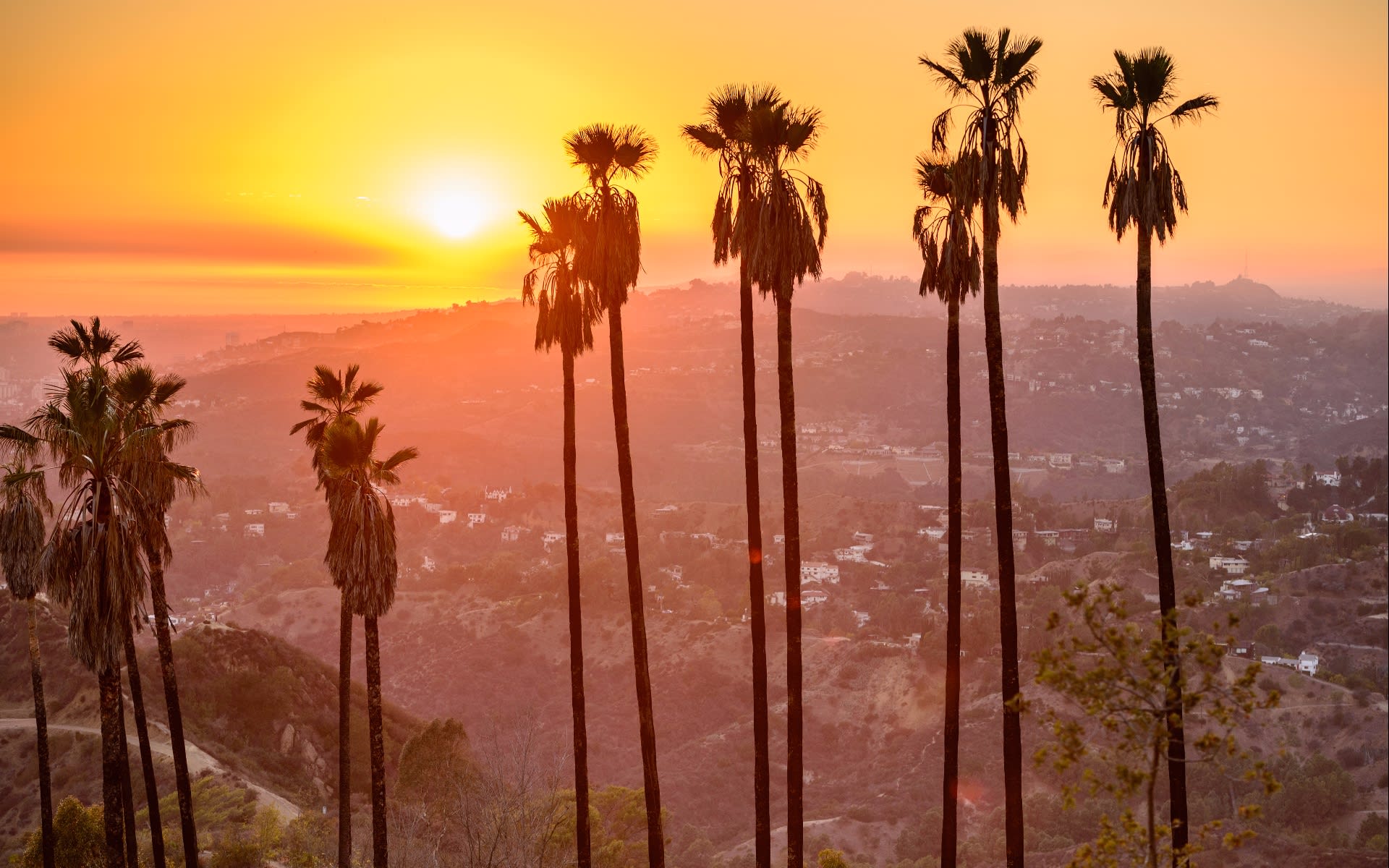 Sunset Strip
