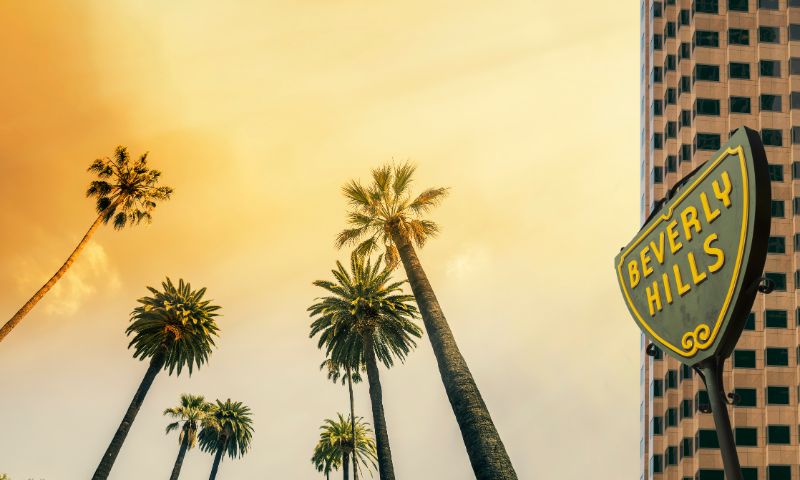 Beverly hills trees