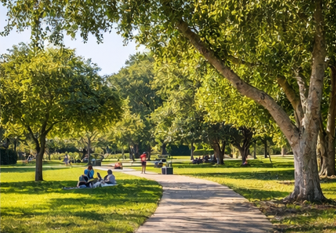 Roxbury Park Beverly Hills neighborhood with green park areas and residential streets