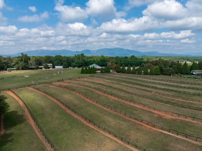21-acre professional equestrian facility with barns and infrastructure