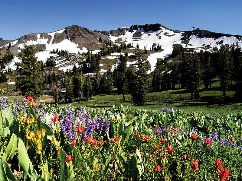 Palisades / Tahoe City