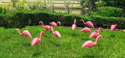 Sierra Community House