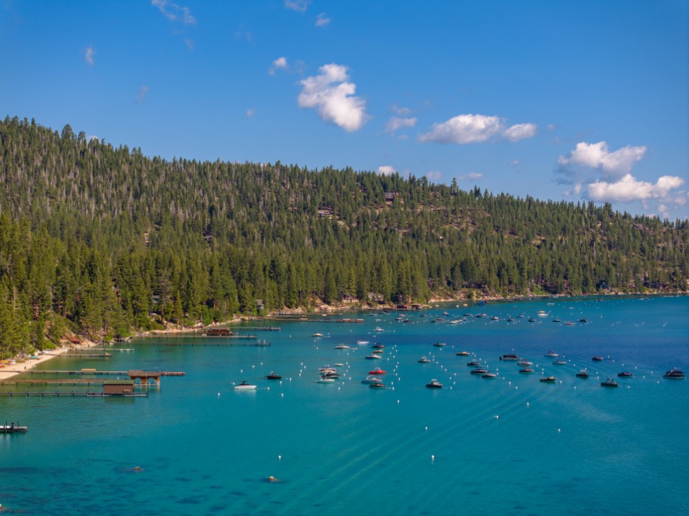 Private piers shoreline