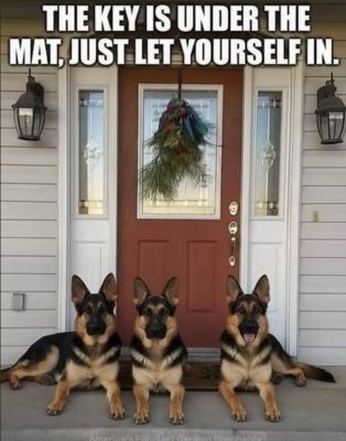 Greetings Fellow Life Travelers