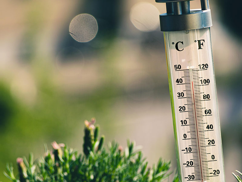 Top Tips for Making Your Home Energy Efficient