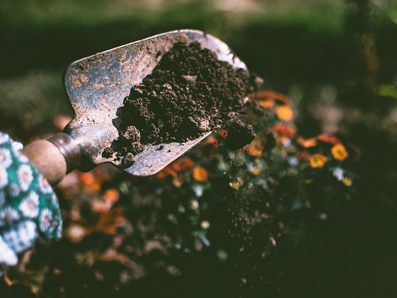 Top Tips for Making Your Home Energy Efficient