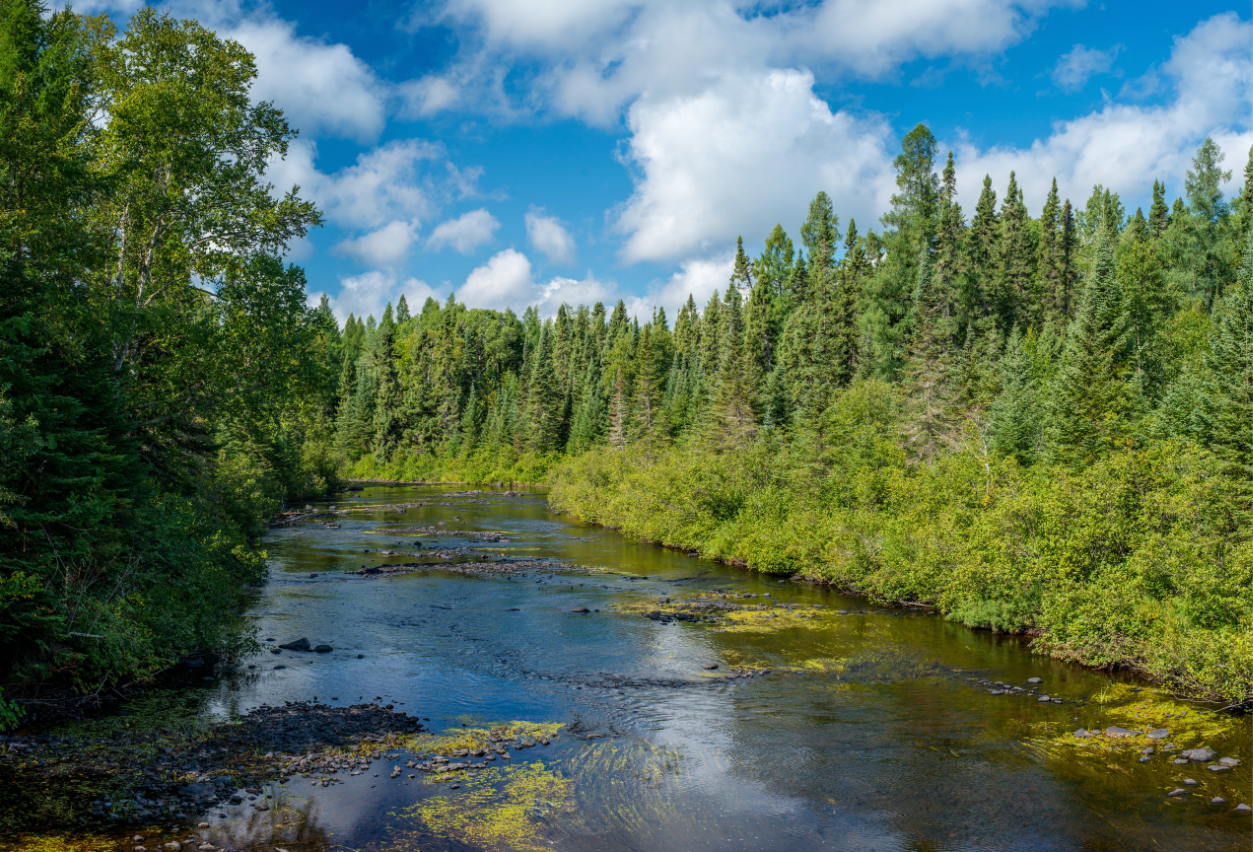 Featured Communites - Dakota, MN