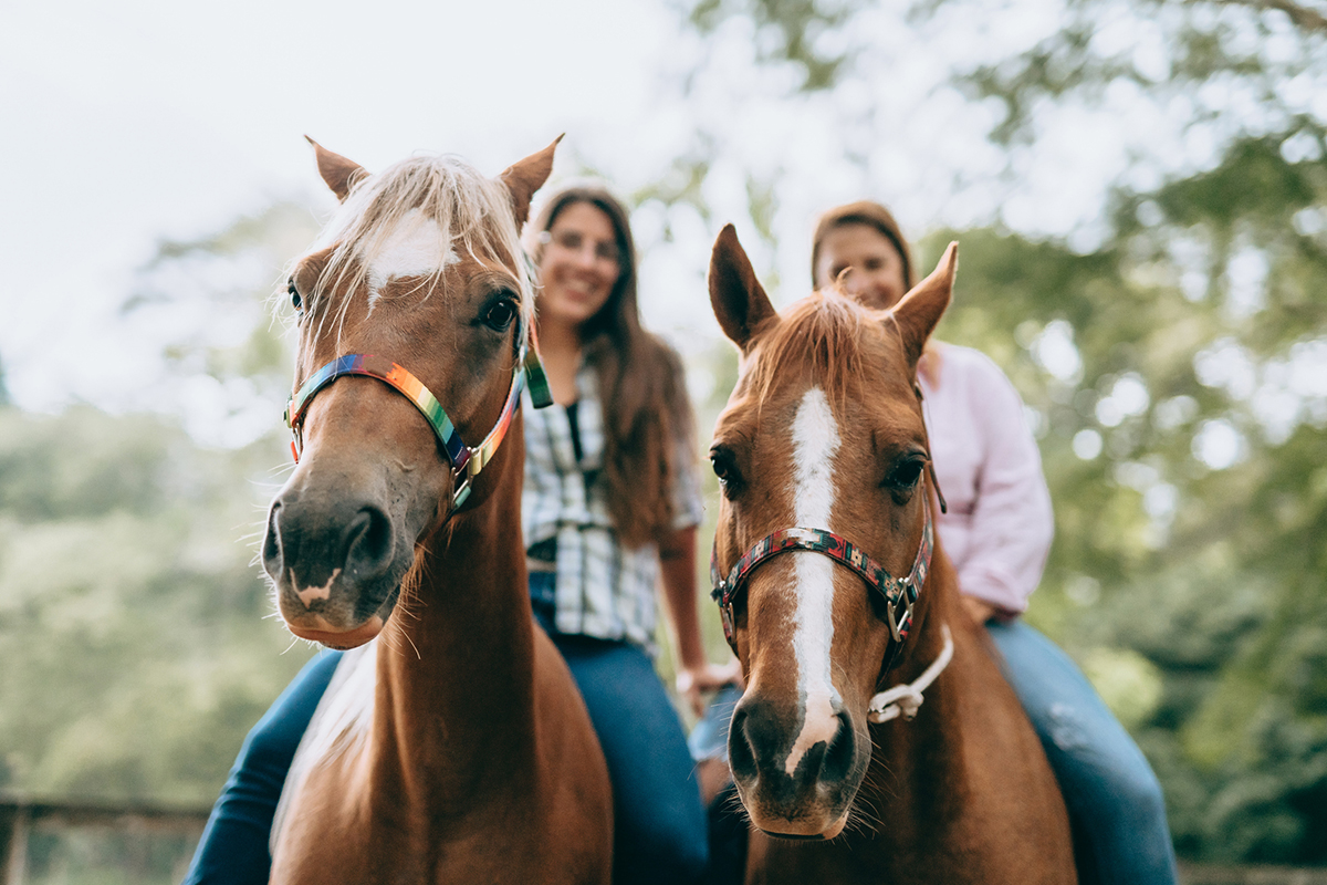 Goochland, VA is known for its accessibility to horseback riding and equestrian training.