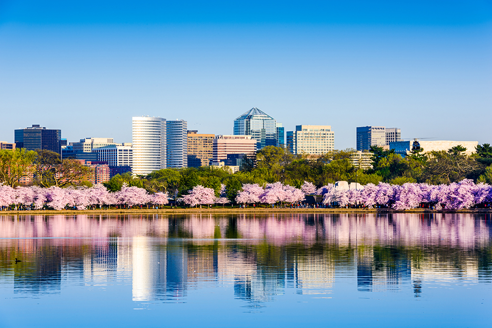 Washington, D.C. Cityscape