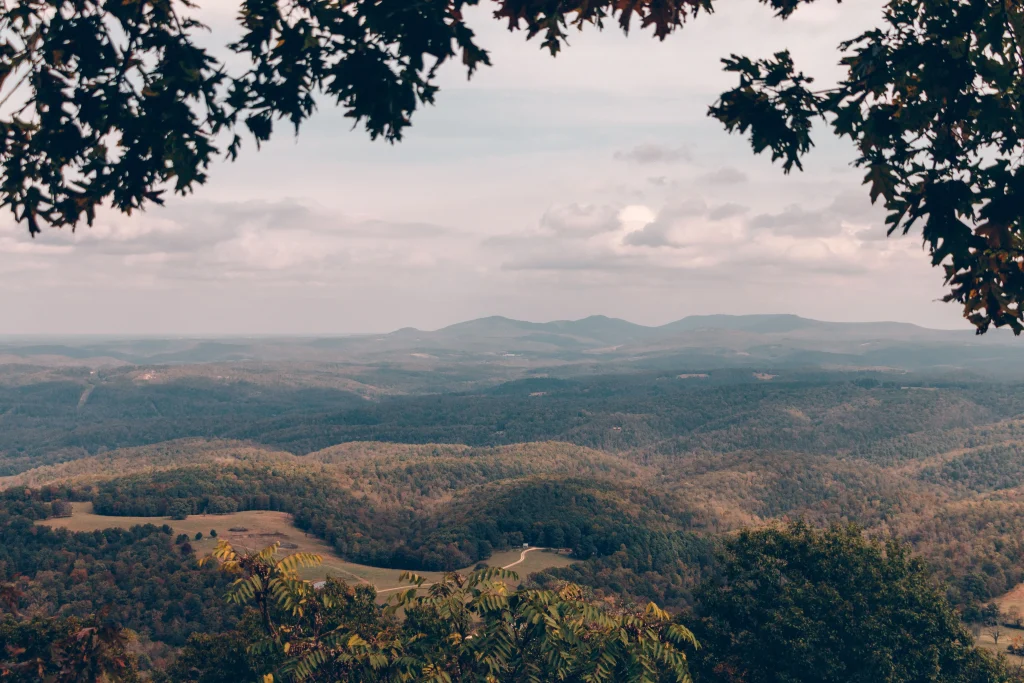 Rolling hills with trees of Northwest Arkansas. rural area.