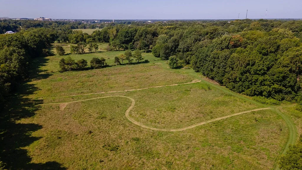 Ariel View of property