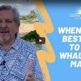 Its-Whale-Watching-Paradise-in-Maui