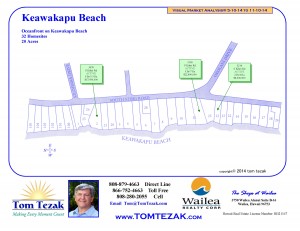 Keawakapu-Beach-11-3-14