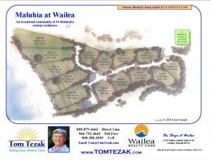 Maluhia-at-Wailea-7-11-14-IP