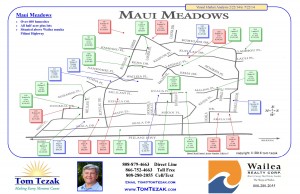 Maui-Meadows