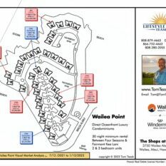 Wailea Point Map & Sales