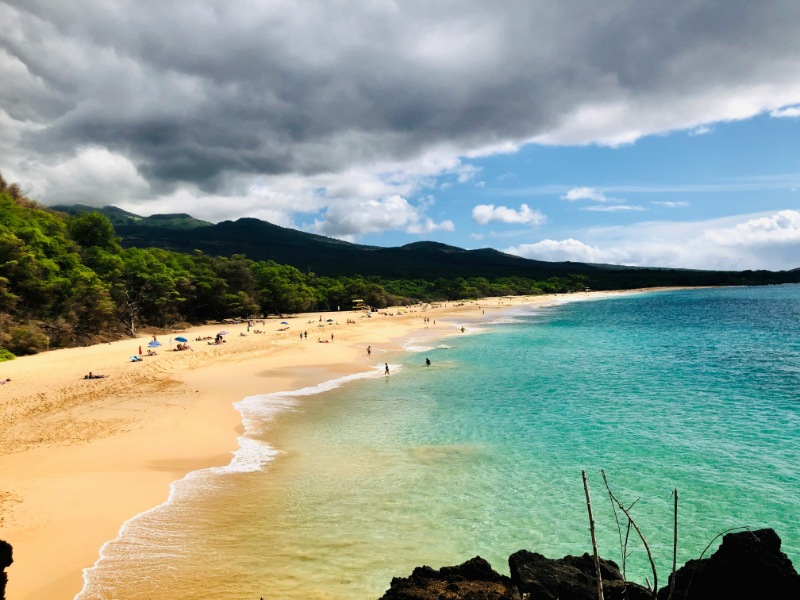 people on beach