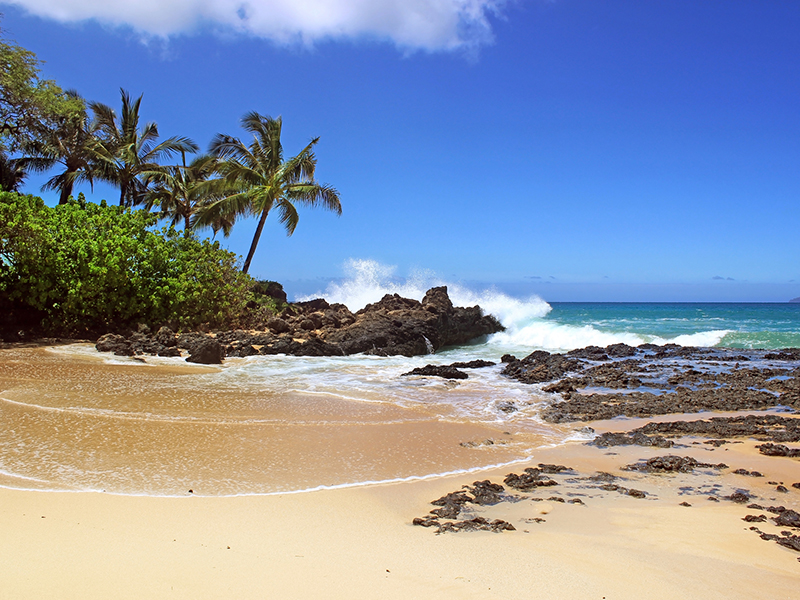 rocky seashore view