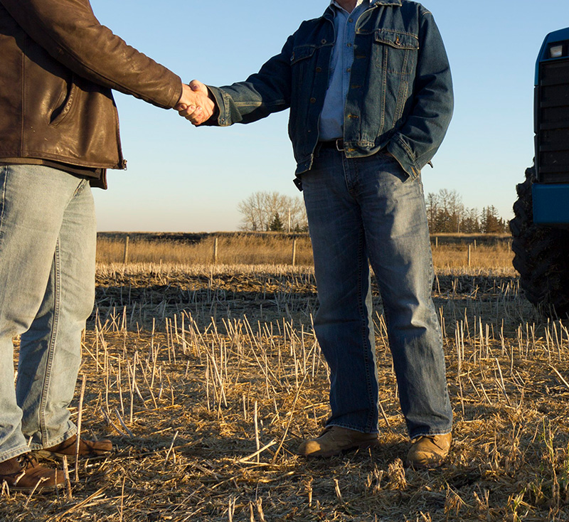 Two men shaking hands in a green field, symbolizing agreement or partnership.