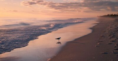 Understanding the Average Cost of Living in Delray Beach, FL