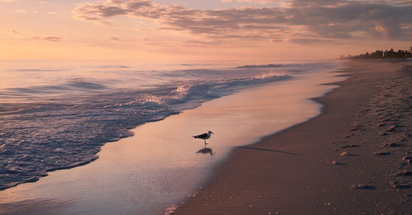 Understanding the Average Cost of Living in Delray Beach, FL