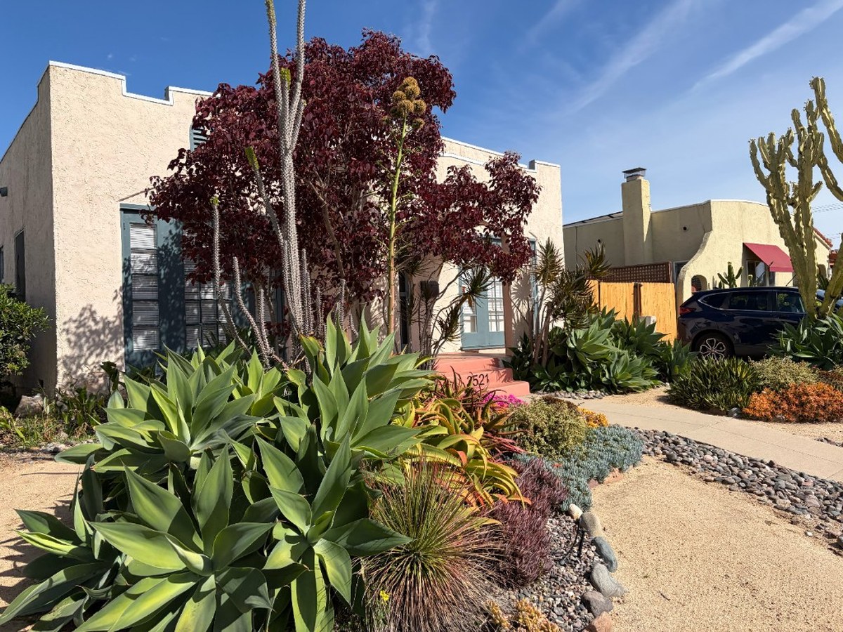 San Diego neighborhood home with drought-tolerant succulent and agave front yard landscaping — March 2026 housing market