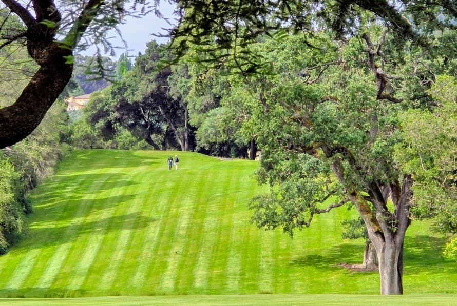 Upper Green Valley